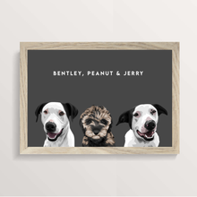 Load image into Gallery viewer, 5 Pet Portrait - A3