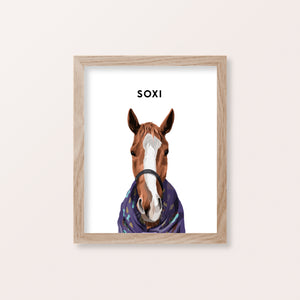 Framed Horse Pet Portraits