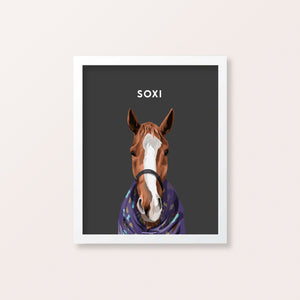 Framed Horse Pet Portraits